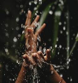 Australian Botanicals Meet Synthetic Biology