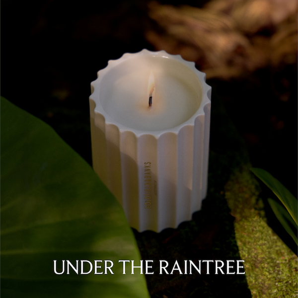 Under the Raintree | Bougie parfumée boisée et musquée
