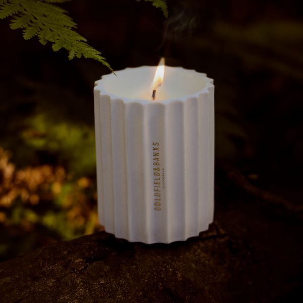 Under the Raintree | Bougie parfumée boisée et musquée